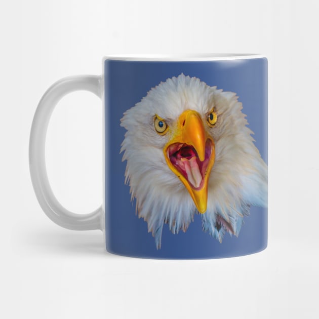 Double Bald eagle Scream by dalyndigaital2@gmail.com